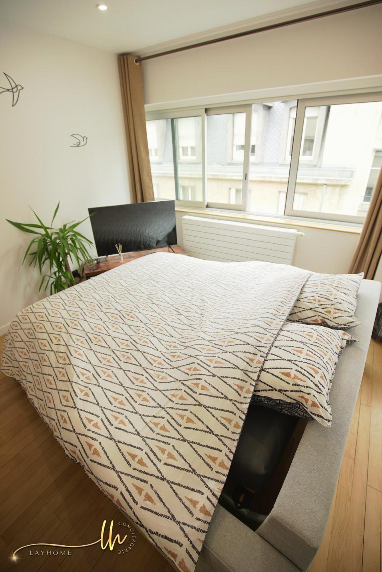 Chaleureux, Lumineux Et Confortable F2 Renove En Plein Coeur De *